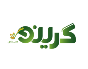 گرینو
